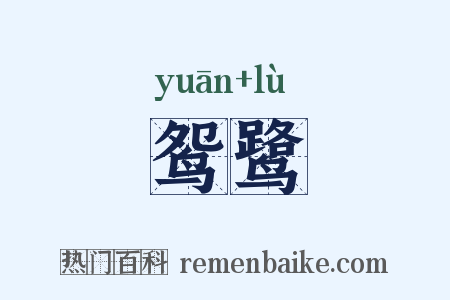 鸳鹭是什么意思的图片